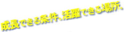 成長できる条件、活躍できる場所、